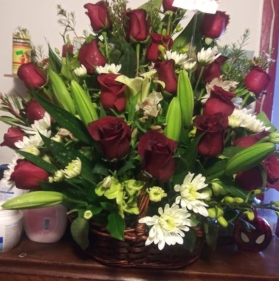 Meet your Posher, Josie - Picture 1 of 1